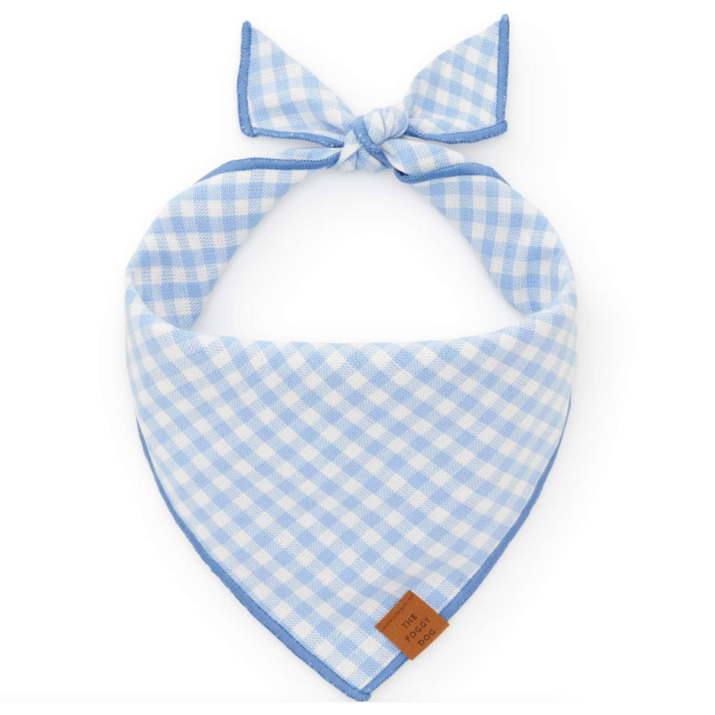 Sky Blue Gingham Spring Dog Bandana