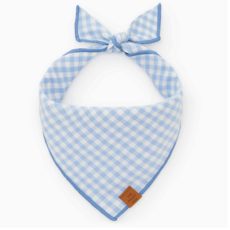 Sky Blue Gingham Spring Dog Bandana