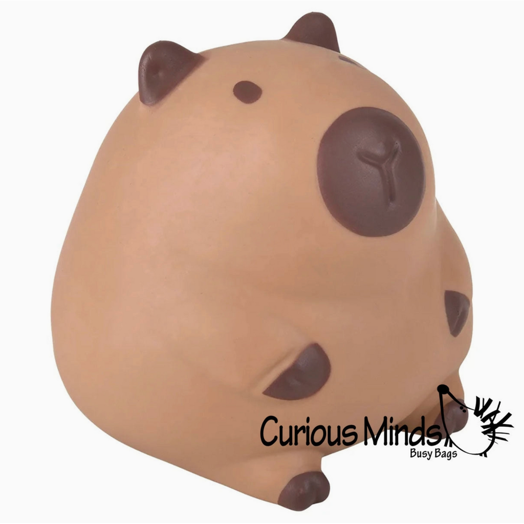 Jumbo Capybara Doh Filled Squishy