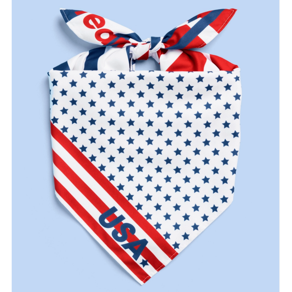 World Cup USA Bandana