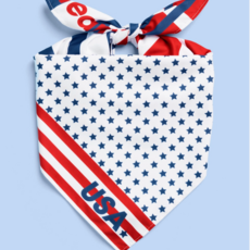 World Cup USA Bandana
