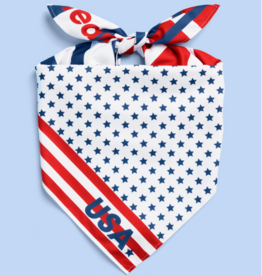 World Cup USA Bandana