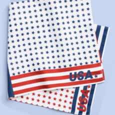 World Cup USA Bandana
