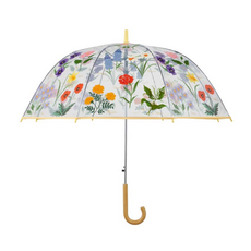 Garden Study Clear Umbrella