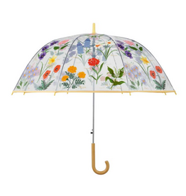 Garden Study Clear Umbrella