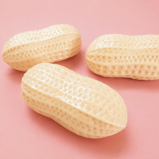 Peanut Puff Squishy