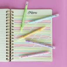 Book Club Erasable Highlighter Set