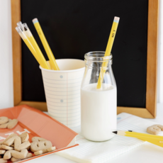 Pencil Reusable Straws