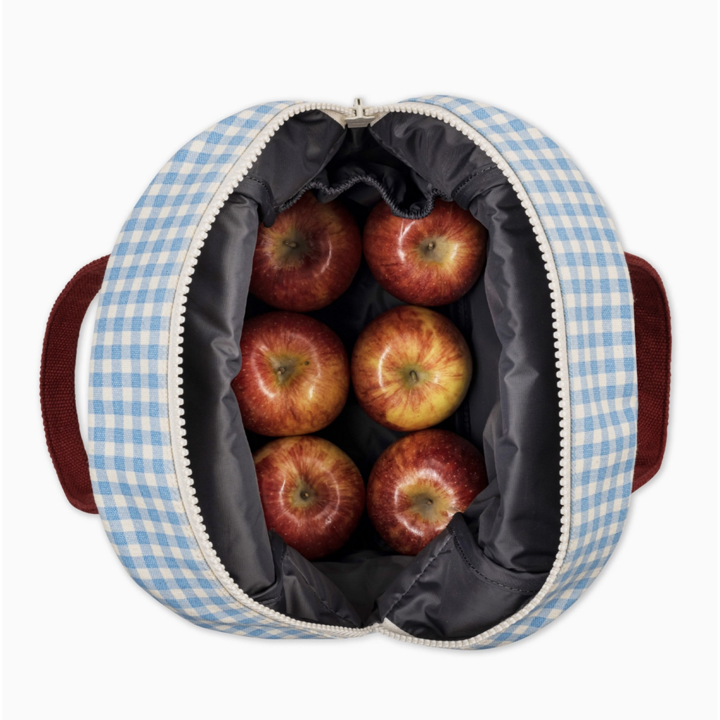 Gingham Sky Zipper Lunchbox