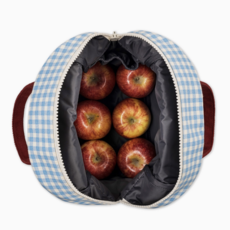 Gingham Sky Zipper Lunchbox