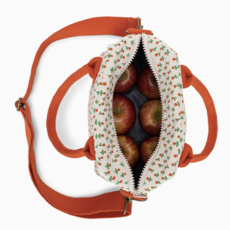 Tiny Roses Lunch Clutch