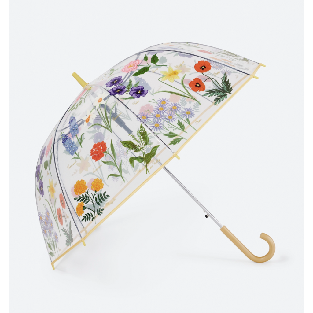 Garden Study Clear Umbrella