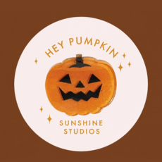 Hey Pumpkin Mini Hair Clip