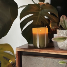 Fresh Olive & Lemon Atina Candle