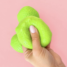 Crunchy Limes To Lemons Squishy