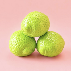 Crunchy Limes To Lemons Squishy
