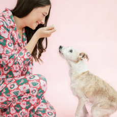 Santa's Candy Cane Christmas Pants Pajama Set