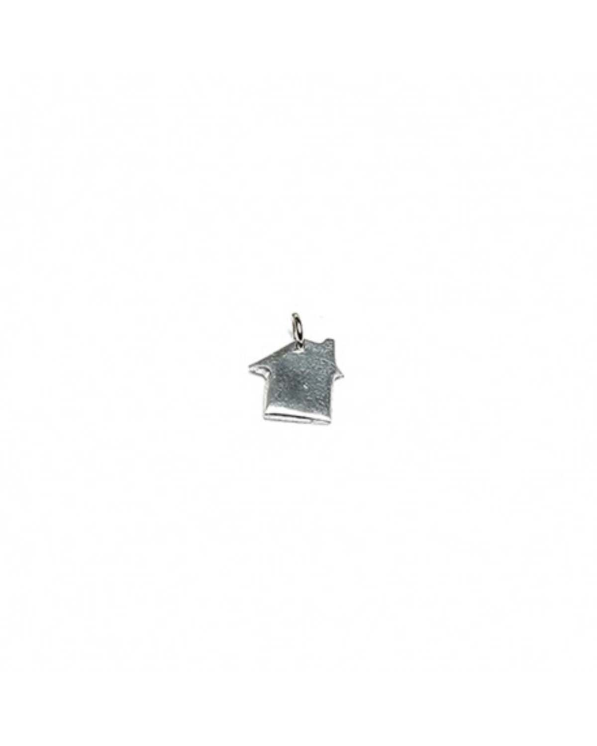 PENDANT HOUSE