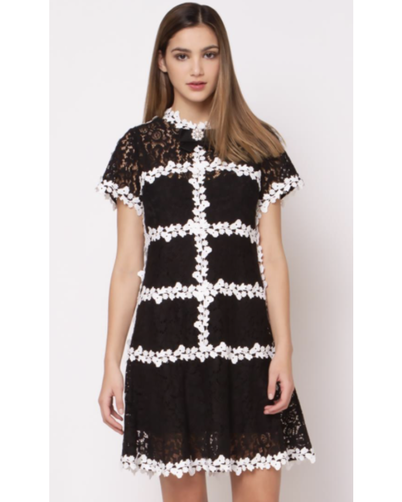 Lace Short Sleeve Dress With Pearl Brooch