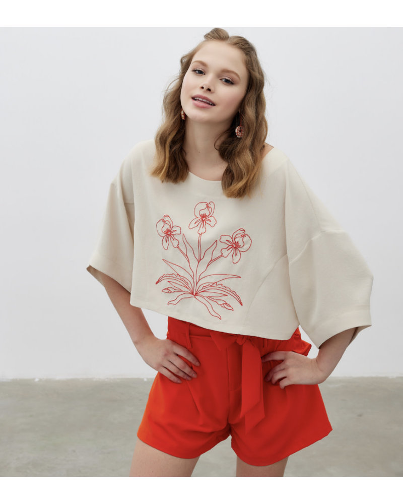 Embroidery Texture Crop Blouse
