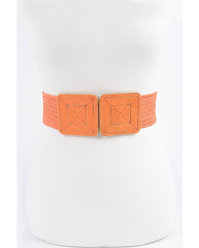 Faux Straw Two Buckle Elastic Belt(more Colors)