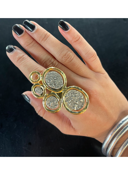 Coins Ring