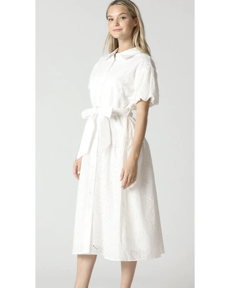 Eyelet Embroidery Button Down Dress