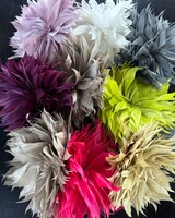 Beautiful Feathers Floral