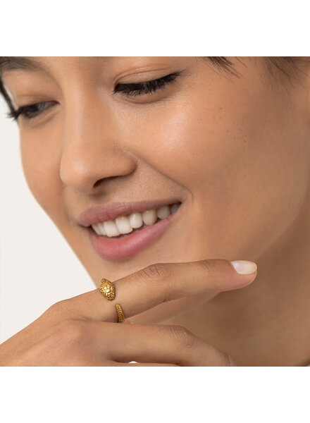 dd15074FEDINA TEXTURE SERPENTE