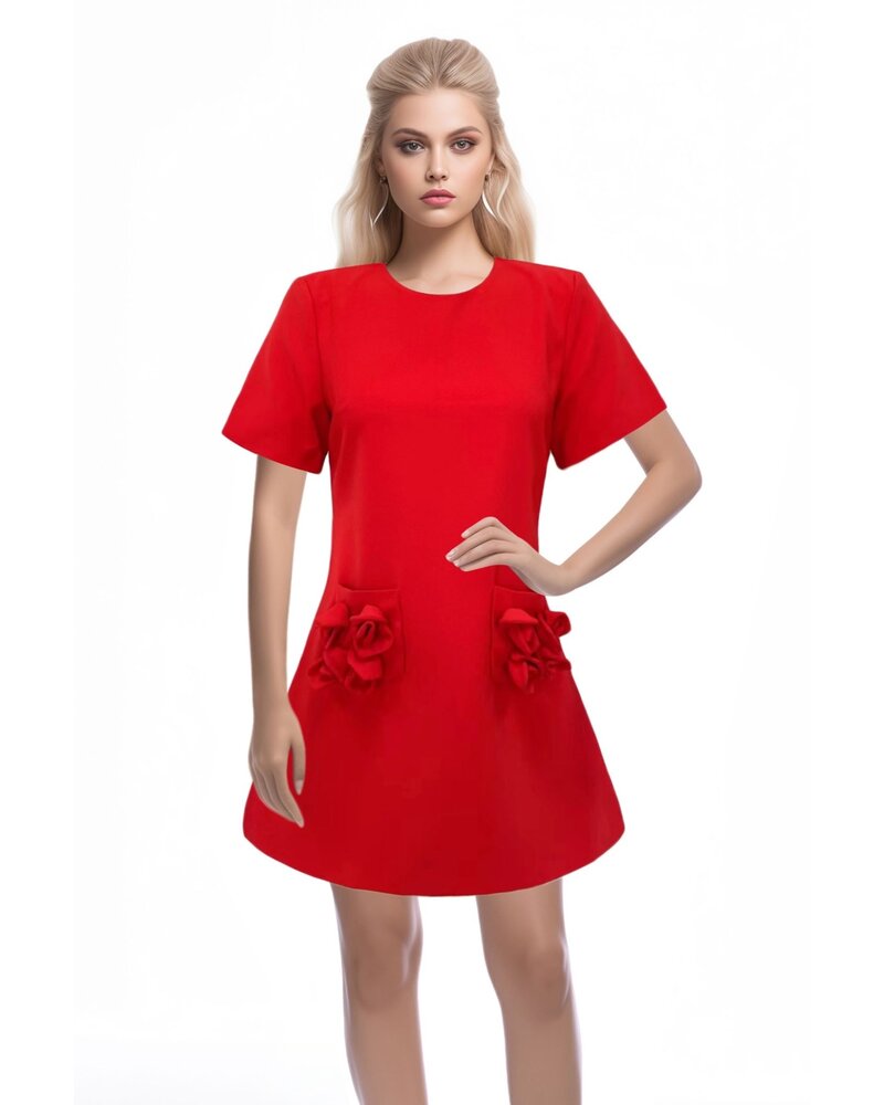 A-Line Rosette Dress