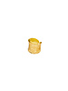anello facsia