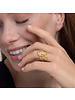 DD15080ANELLO SCARABOCCHIO