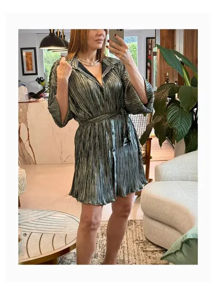 Pleated shirt dress