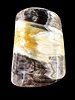 Elastic natural Buffalo horn