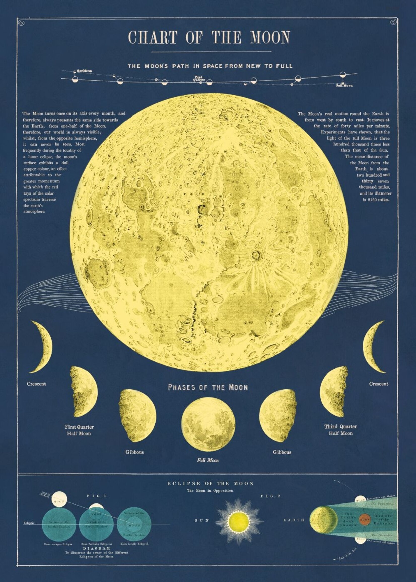 Poster/Wrap Moon Chart