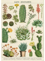 Poster/WrapCactus & Succulents