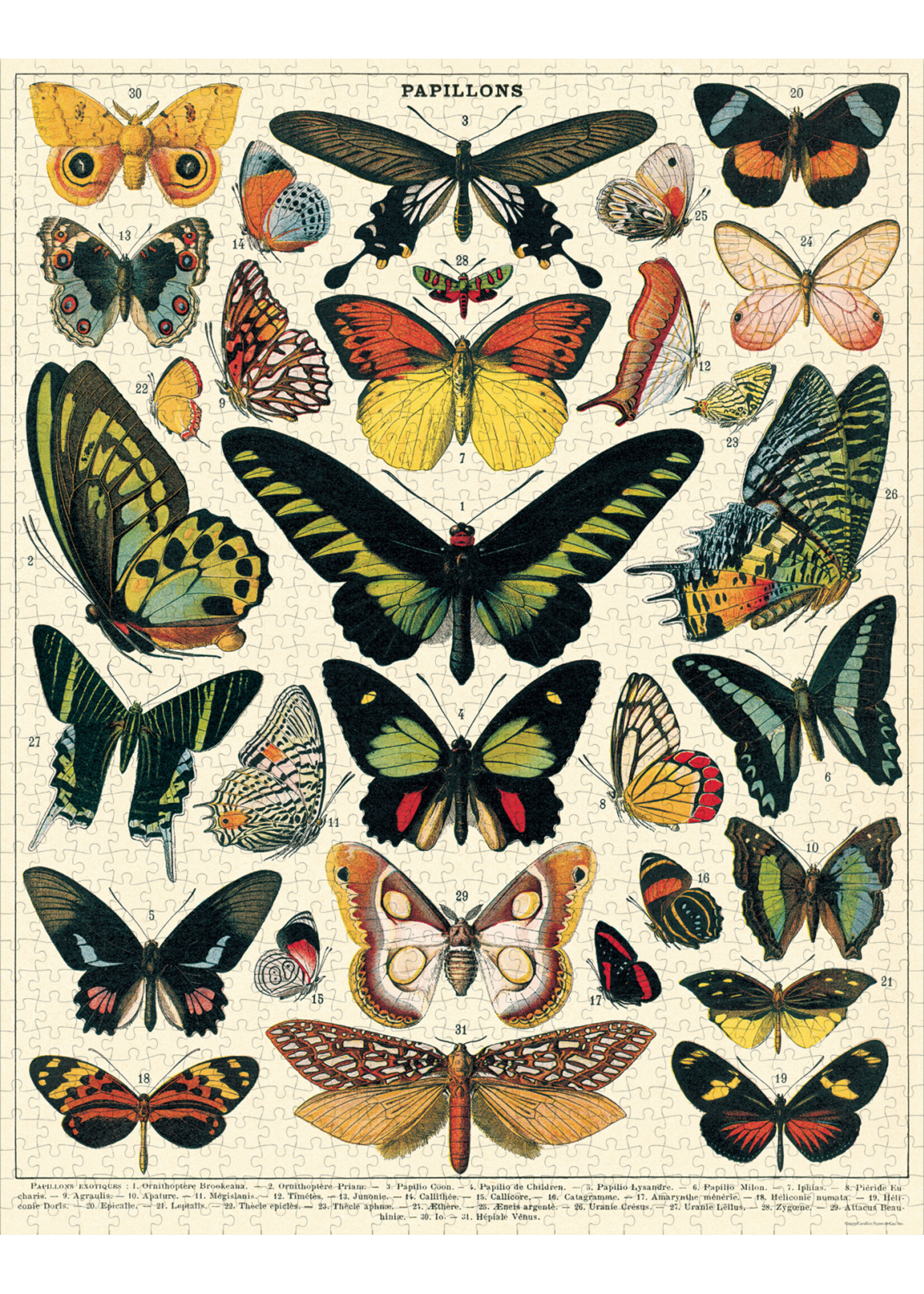 1000 Pc Puzzle - Butterflies