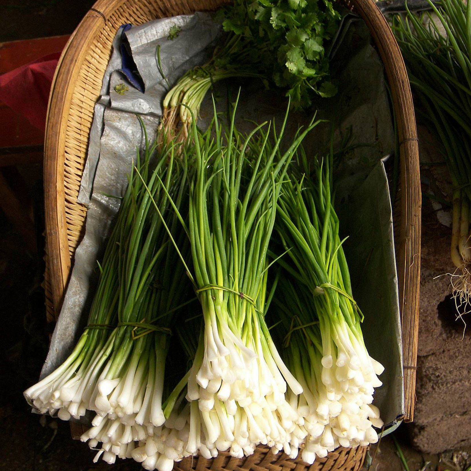Jolly Farmer Onion Chives Tailling Hills Farm