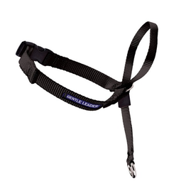 Gentle Leader Head Collar