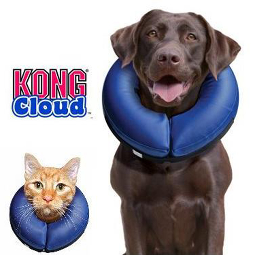 Kong Kong, Collerette Cloud gonflable protectrice