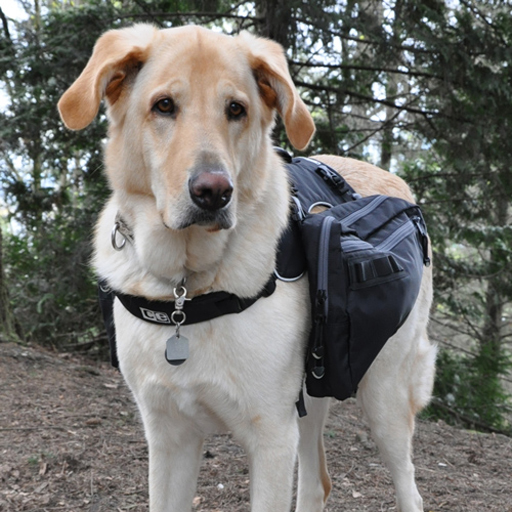 RC Pets Canine Equipment Ultimate Trail Pack