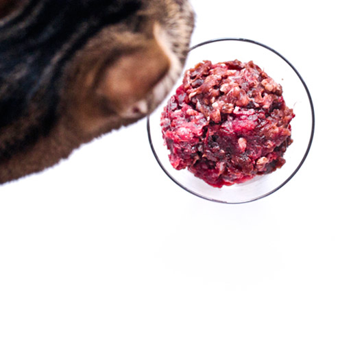 Raw By Bailey Blu Venaison Cru + Organe + Lapin