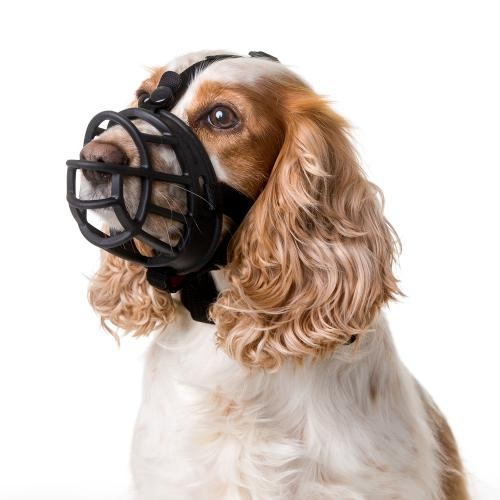 The Company of Animals The Company of Animals Baskerville Ultra Muzzle