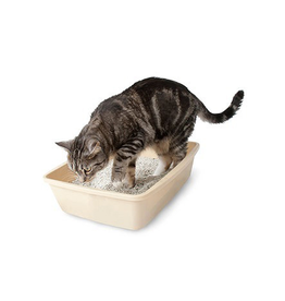Petmate Litter Pan Medium