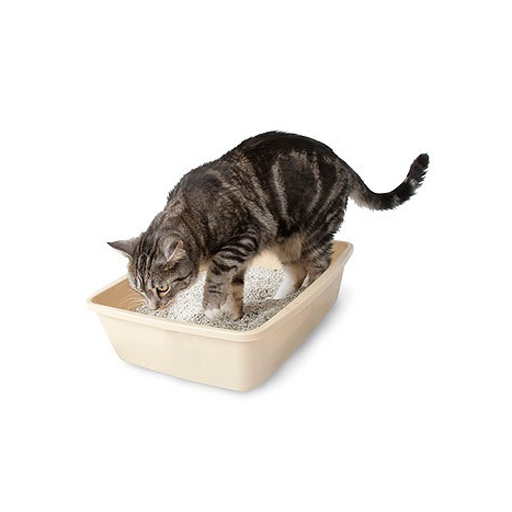 Petmate Litter Pan Medium