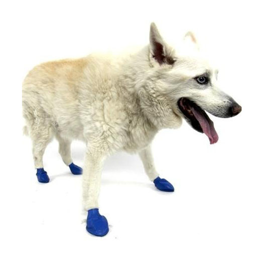 Pawz Pawz Dog Boots, Blue, M