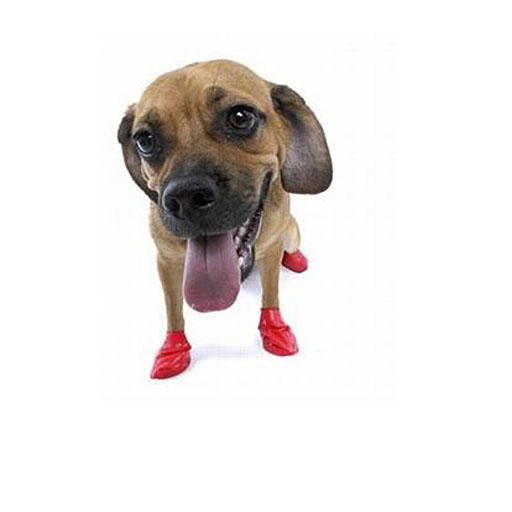 Pawz Pawz Dog Boots, Red, S