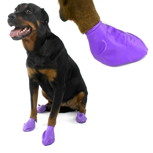 Pawz Pawz Dog Boots, Purple, L