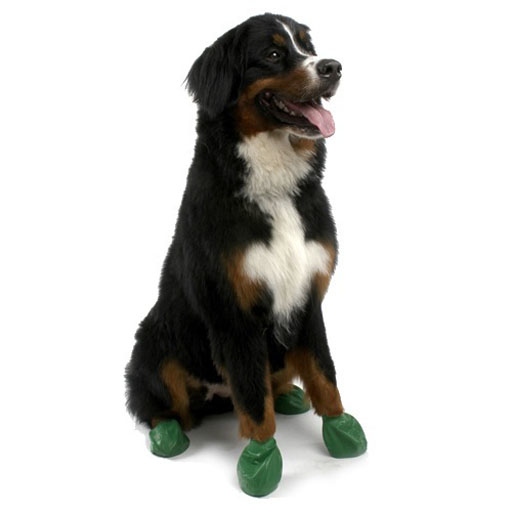 Pawz Pawz Dog Boots, Green, XL