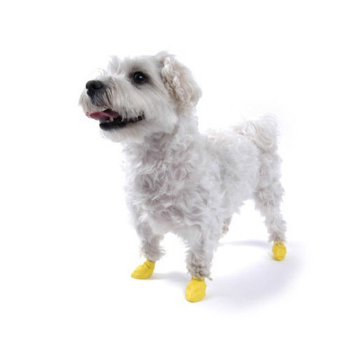 Pawz Pawz Dog Boots, Yellow, XXS